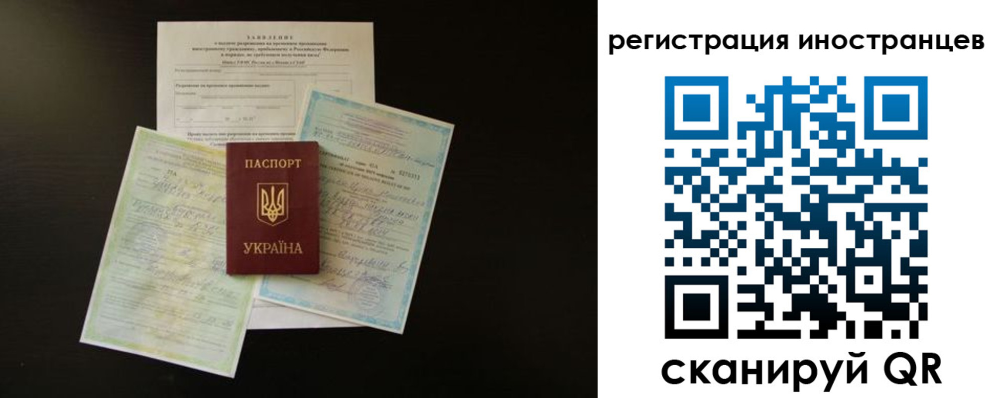 миграционный учет в Светлогорске