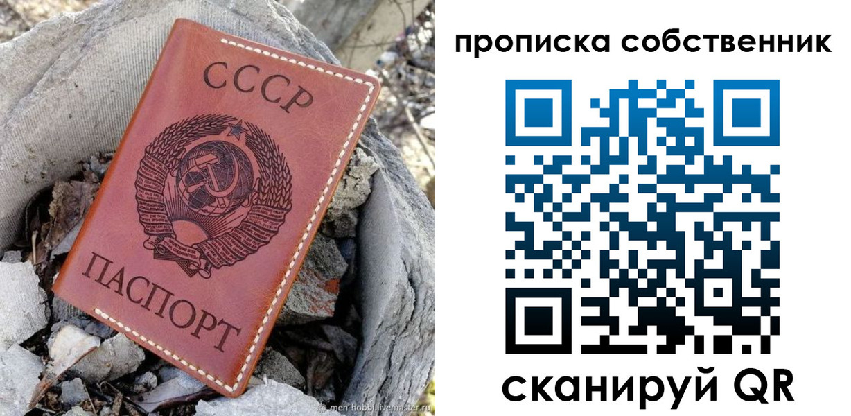 где прописаться в Светлогорске